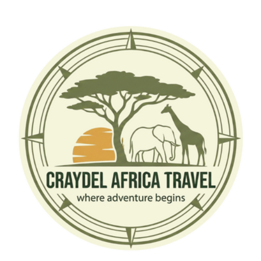 untitled design (78)